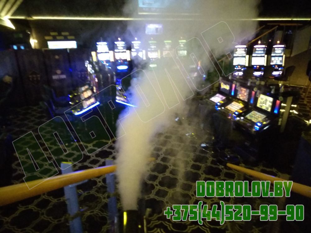 Sanitary Norms and Pest Control: Business Requirements