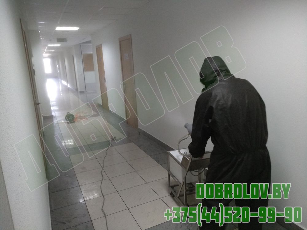 Sanitary Audit Preparation: B2B Pest Control Checklist