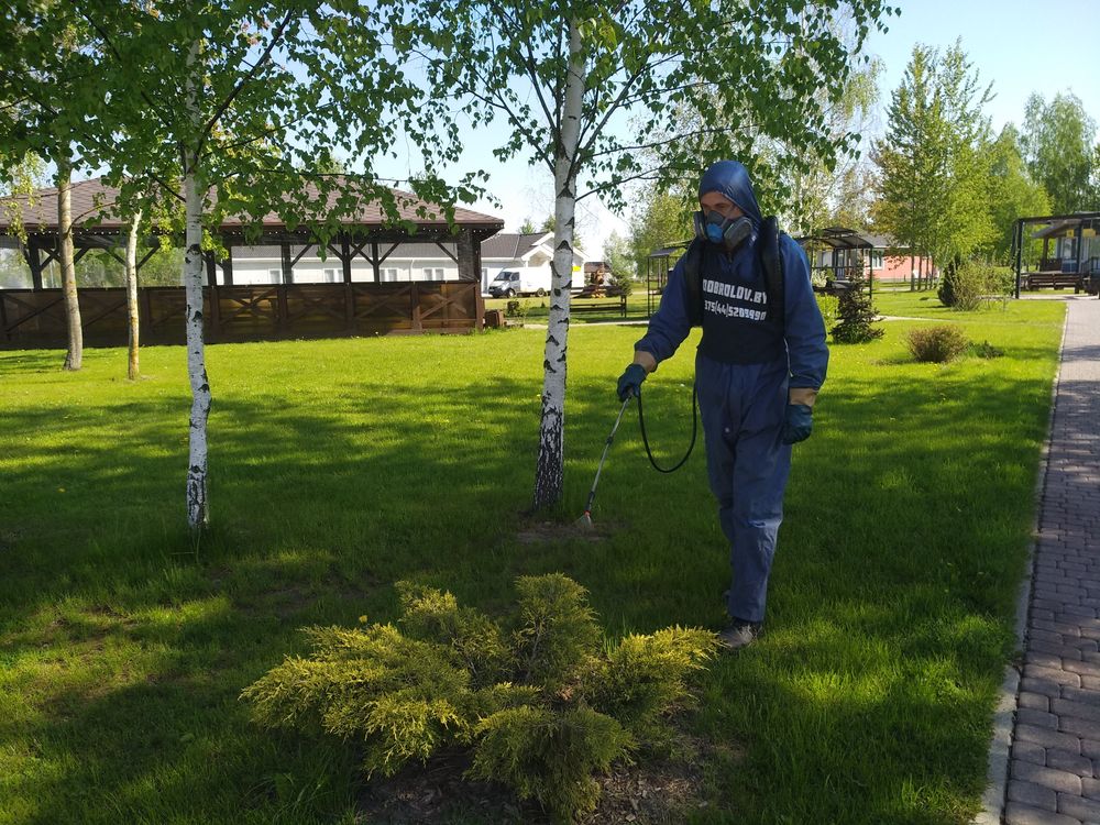 Acaricidal Treatment: When to Start Fighting Ticks