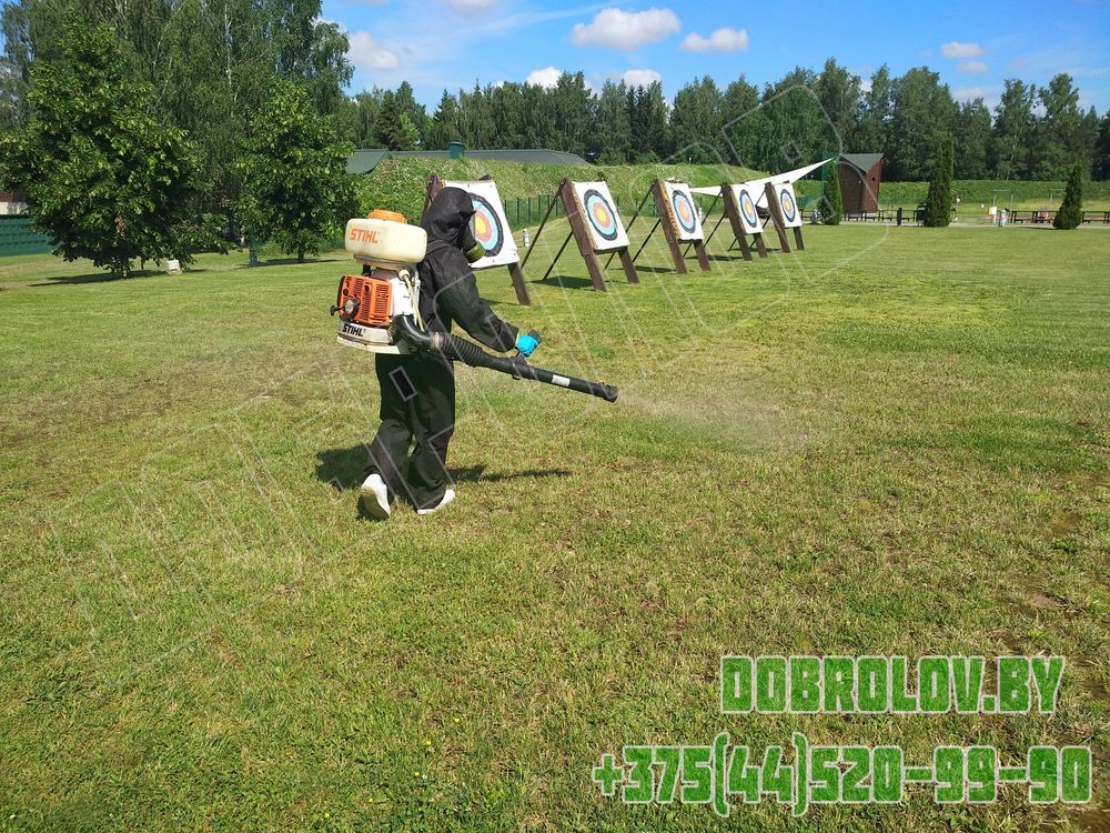 Spring Tick Treatment for Yards: When and How to Prepare