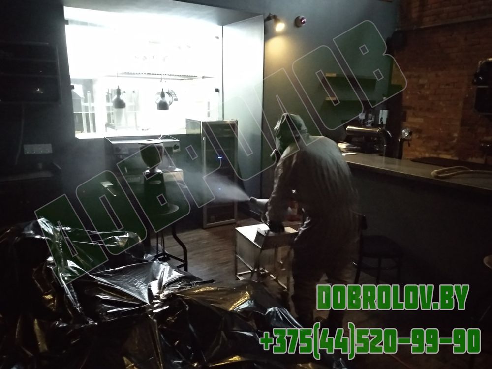 Как избавиться от постельных клопов: полное руководство