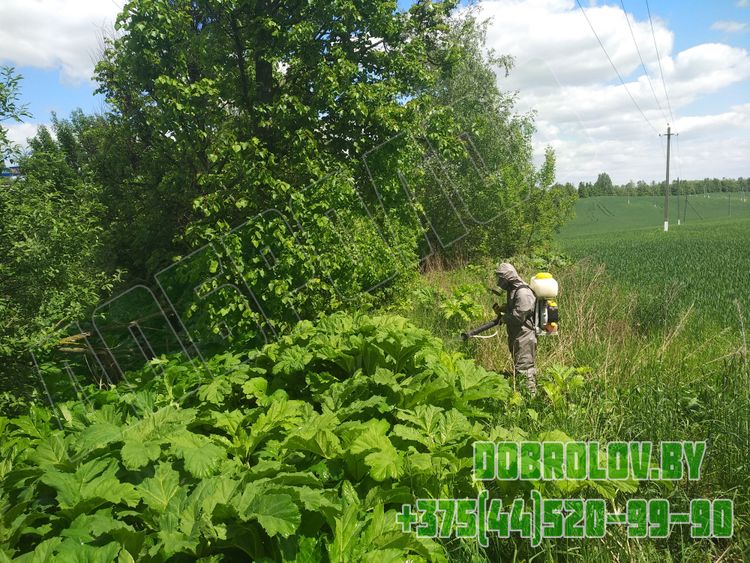 Фумигация деревянной тары по стандарту ISPM 15