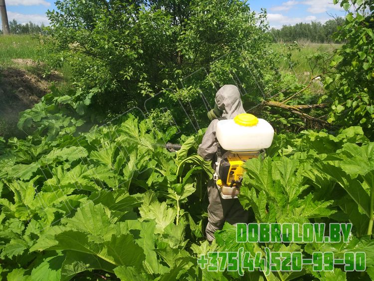 Фумигация деревянной тары по стандарту ISPM 15