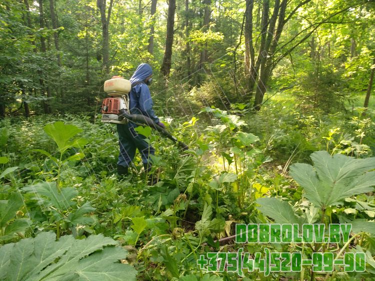 Фумигация деревянной тары по стандарту ISPM 15