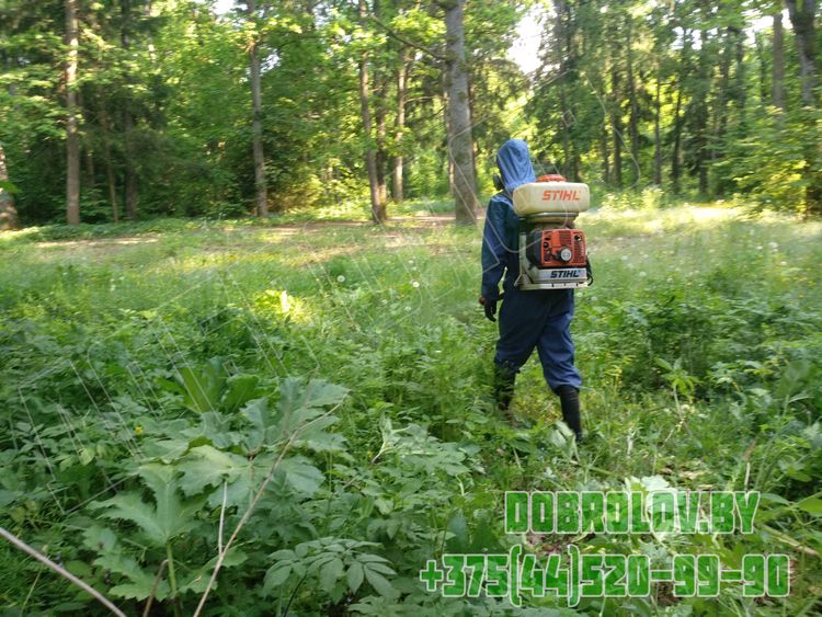 Фумигация деревянной тары по стандарту ISPM 15