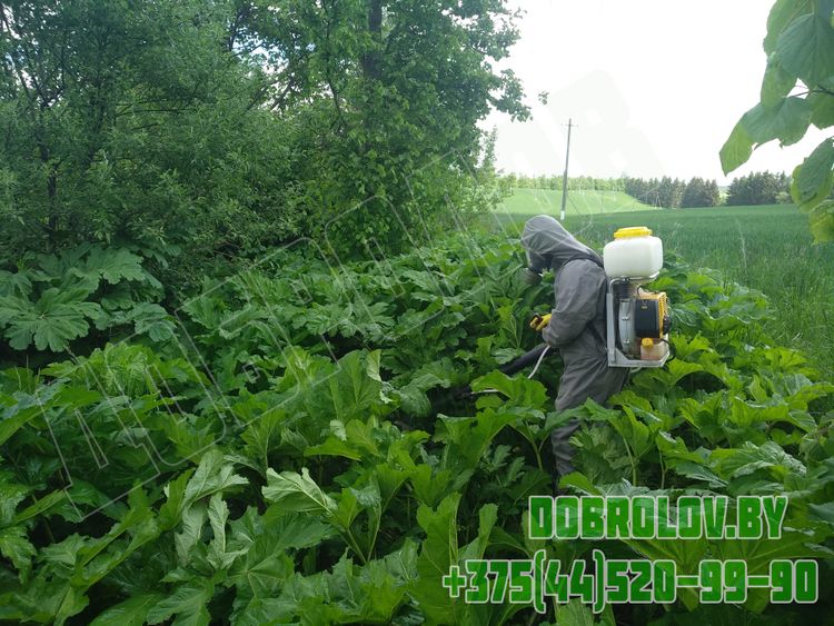 Фумигация деревянной тары по стандарту ISPM 15