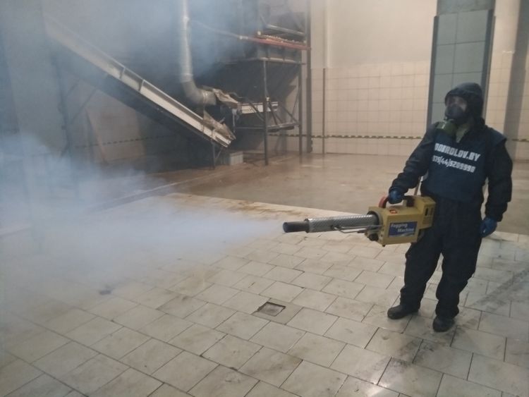 desinsekciya_1.jpg