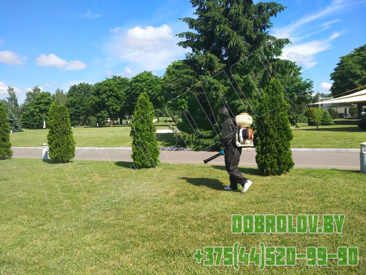 Акарицидная обработка территории от клещей