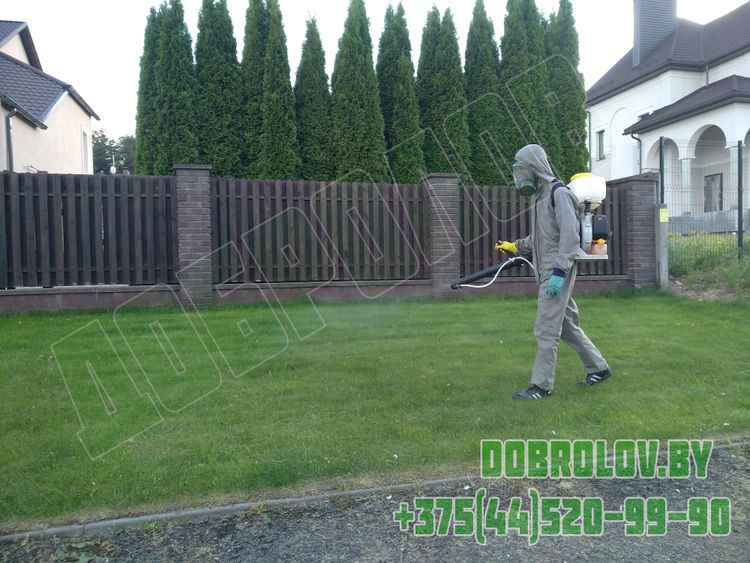 Акарицидная обработка территории от клещей