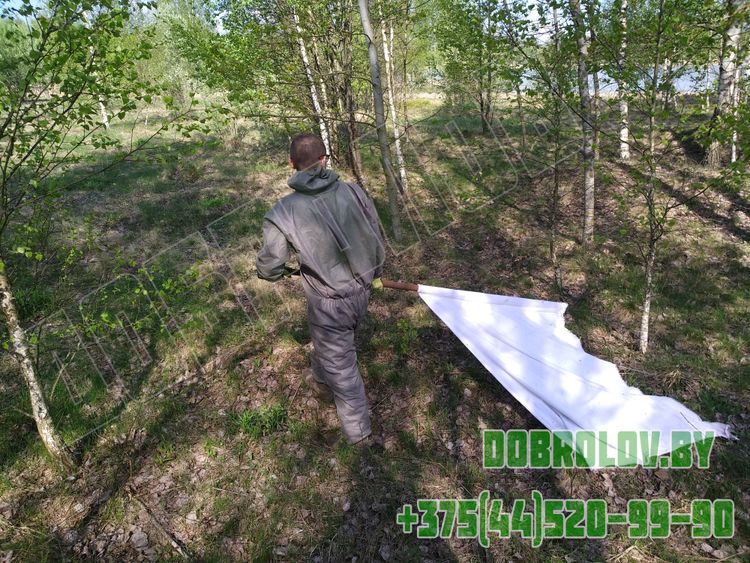 Акарицидная обработка территории от клещей