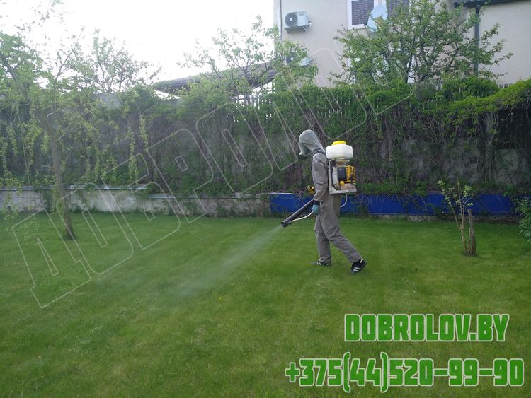 Акарицидная обработка территории от клещей