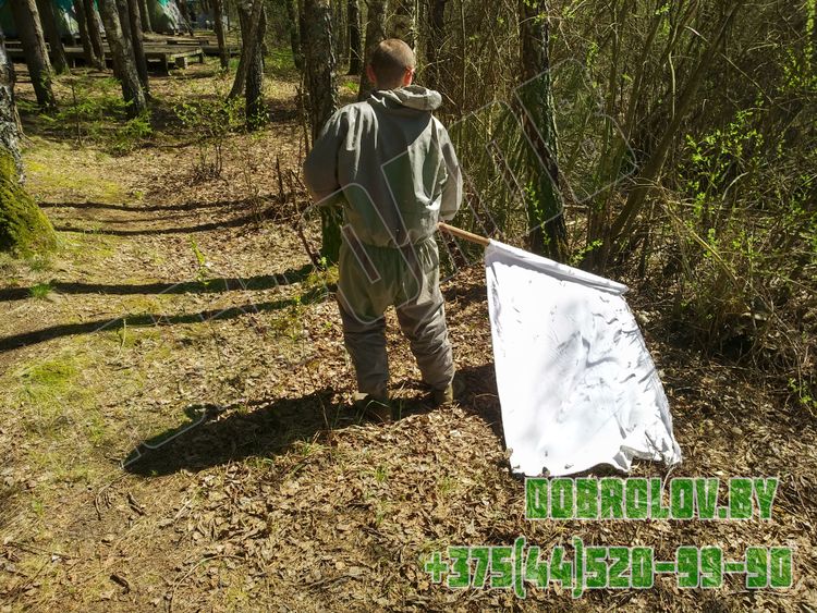 Акарицидная обработка территории от клещей