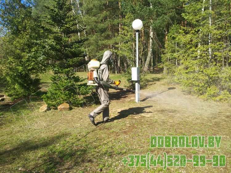 Акарицидная обработка территории от клещей