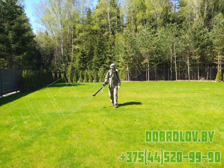 Акарицидная обработка территории от клещей