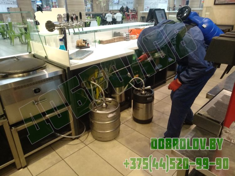 Pest Control in HoReCa: Protecting Your Restaurant's Reputation