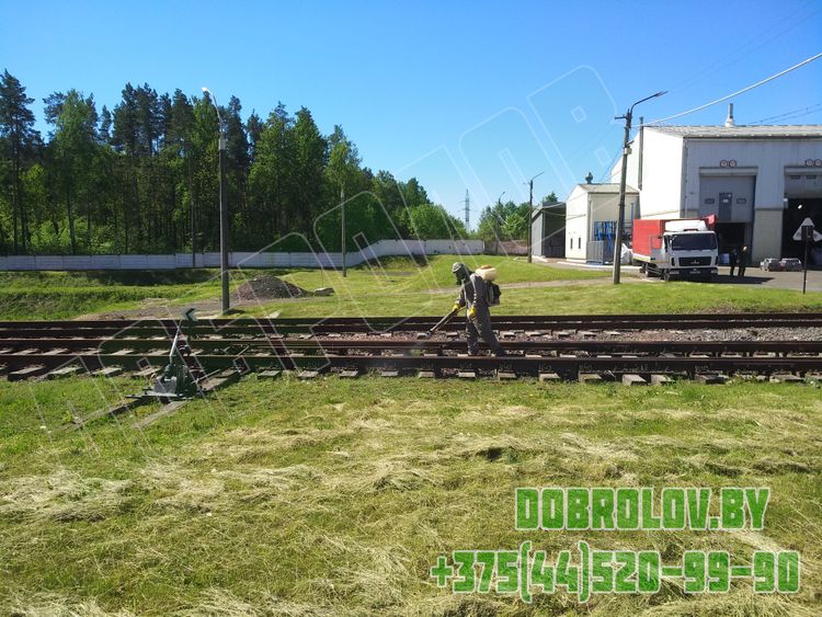 Гербицидная обработка территории от сорняков