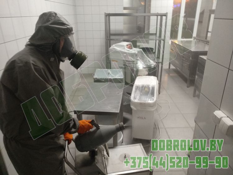 Профессиональная дезинсекция от синантропных насекомых