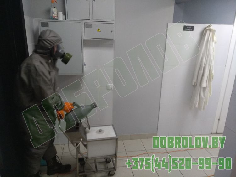 Профессиональная дезинсекция от синантропных насекомых