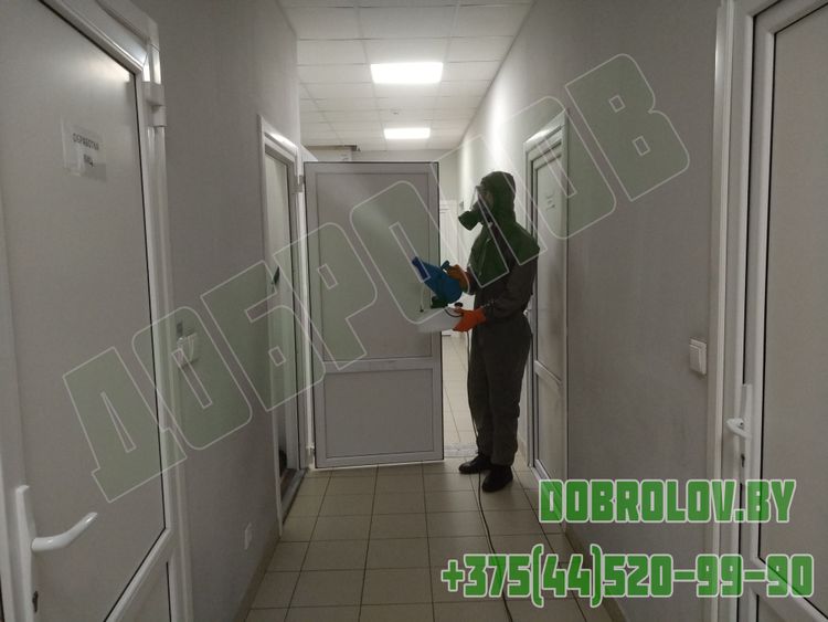 Профессиональная дезинсекция от синантропных насекомых