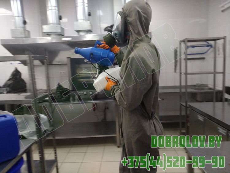 Профессиональная дезинсекция от синантропных насекомых