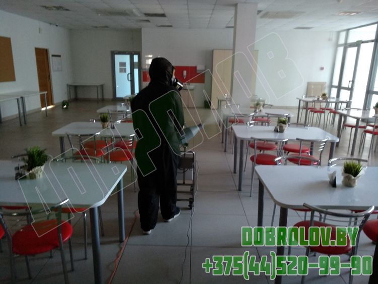 Гербицидная обработка территории от сорняков