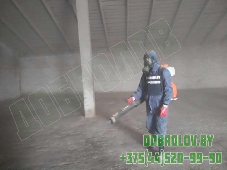 Вредители хлебных запасов на складе